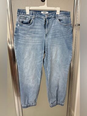 Mica Super High Denim Jogger Elastic Waist and Ankles size 2X relaxed fit